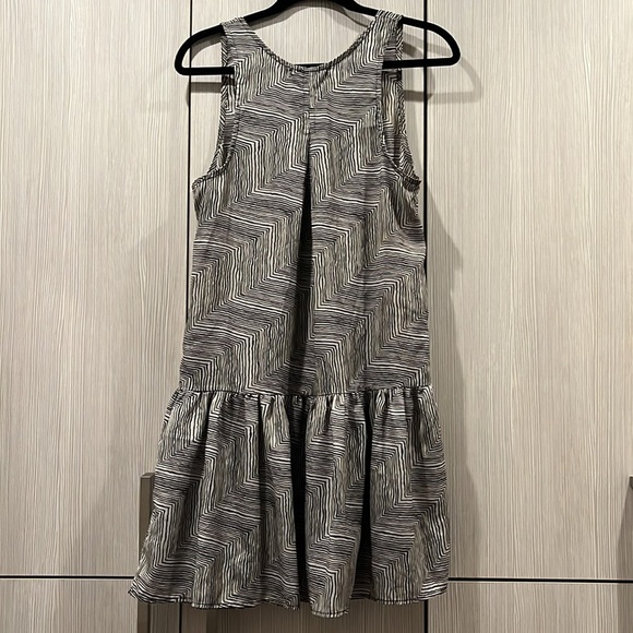 Staring at Stars Zebra Print Drop Waist Dress | Size‎ Medium - Picture 2 of 11